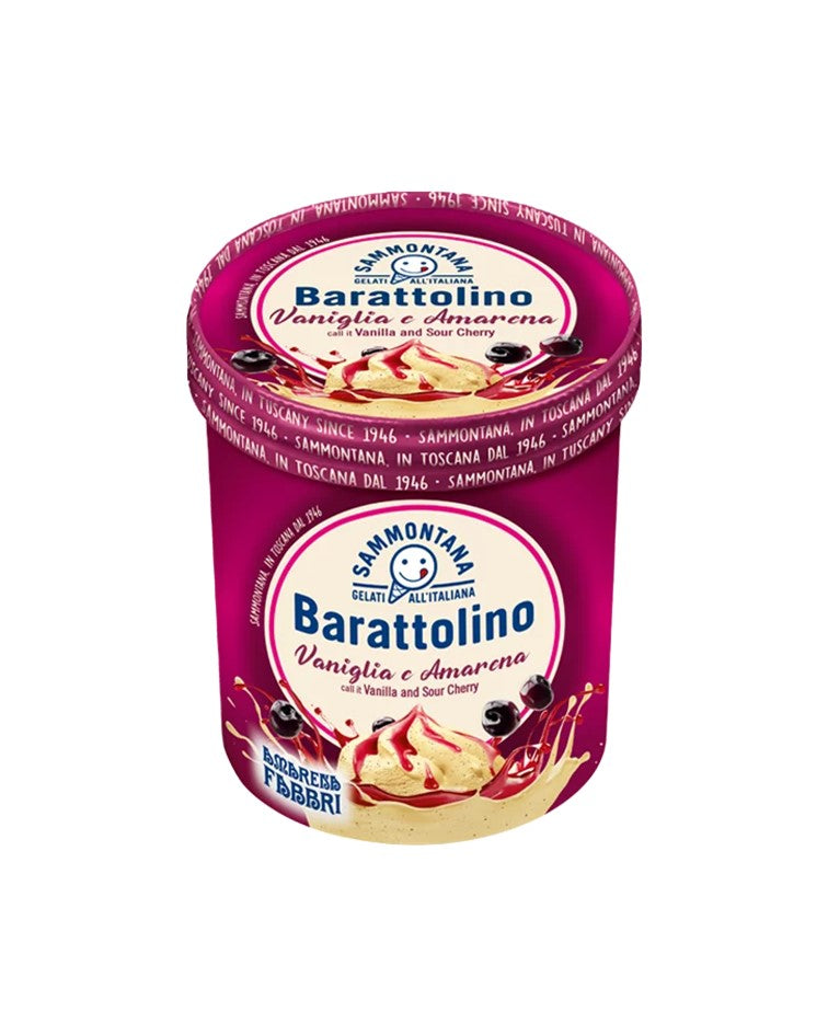 Sammontana Barattolino Fabbri Sour Cherry & Vanilla Ice Cream "Gelato alla Vaniglie e Amarena" 500g